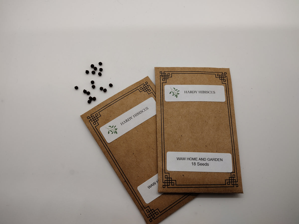 Hardy Hibiscus Seeds – Cold-Hardy Perennial Flower Seeds